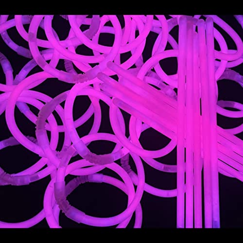 [P[AhP[] J[IׂPF100{Zbg sN uXbg yCg TCEuX ~JА OpRlN^[t Rio{bNXɍ IXebJ[t (D. sN 100{)