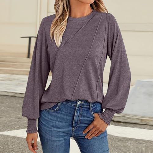 Women's Crewneck Fall Pullover Top Ribbed Cuff Long Sleeve Pleated Shirt Fashion Casual Lightweight Blouse Teen Girls2