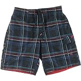 Speedo Men's Airbrush Stripe E-Board 21 Inch