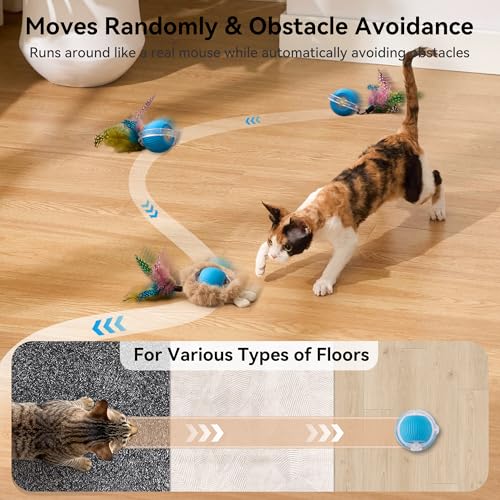 Save 50% on ZOMISIA Interactive Cat Toy Ball with code 8V6VLC7O - Image 6