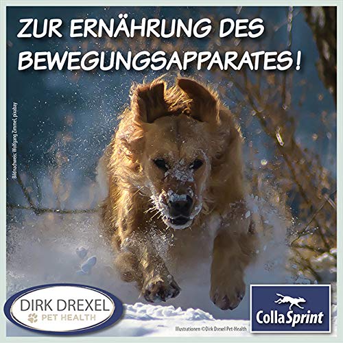Dirk Drexel Collasprint mit Hyaluron I Hochwertiges Kollagen für Hunde in Pulverform I Unterstützt die Gelenke und Agilität I 250 g