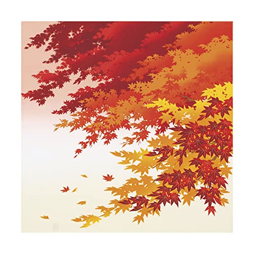 C~ LE ȏӂ낵  50cm S20 ӂ낵 ÓT a furoshiki-00050 (07.Hi[ւŔj)