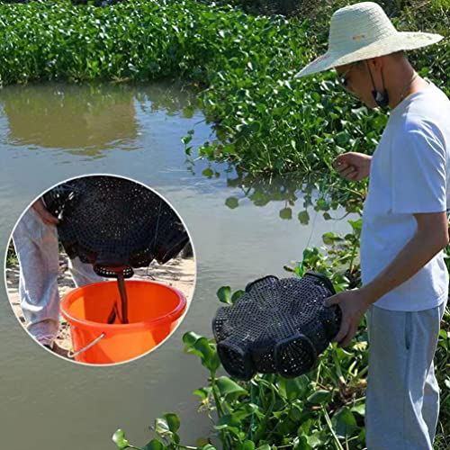 Alipis Gabbia di Anguilla Gabbia da Pesca Rete