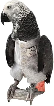 Parrot Supplies, Lightweight Flight Suit for Birds, Parrot Restraint Supplies, Comfortable and Warm, Suitable for Green cheeked Parakeets, Sun con, Monk Parakeets S