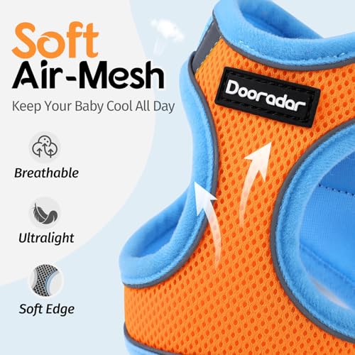 Harnais et laisse pour chat ajustable orange bleu taille S
