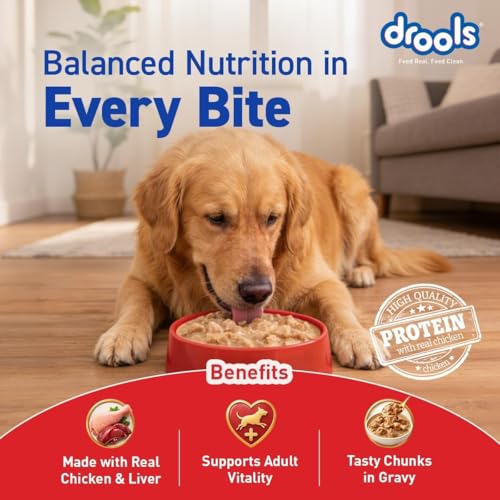 Image of Drools Adult Wet Dog Food (12 x 60g) | Real Chicken & Liver Chunks in Gravy | Supports Skin, Coat, Joint Health & Easy Digestion