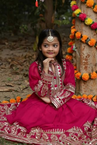 Girl's Indian Party Wear Gown Dress for Kids Georgette Fabric, Embroidery and Sequin Work3