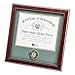 Allied Frame United States Army Certificate of Achievement Frame
