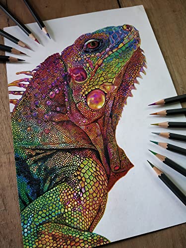 Image of BRUSTRO Artist Metallic Colour Pencil Set of 12 Shades, 3.3mm lead | Wax-based, Ergonommic, Break Resistant, Easy Blending, Non-toxic Colors, Ideal for Fine Art and Craft.