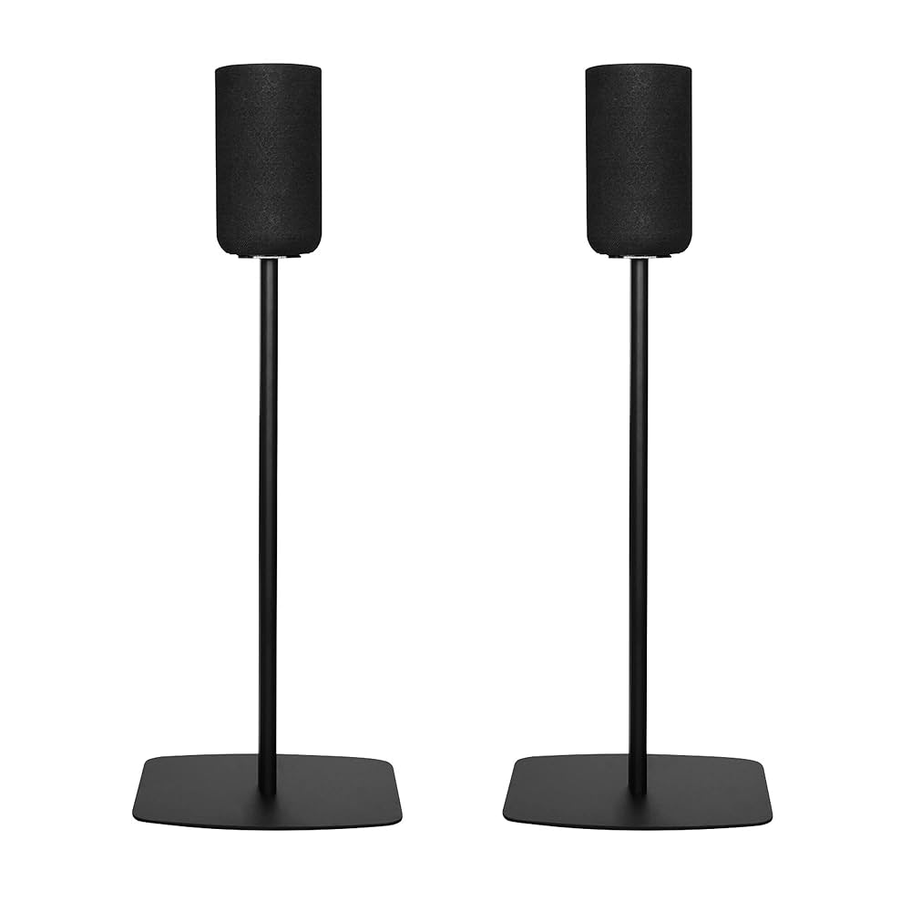 Amazon.com: Hounyoln Speaker Stand for Sony SA-RS5 Wireless
