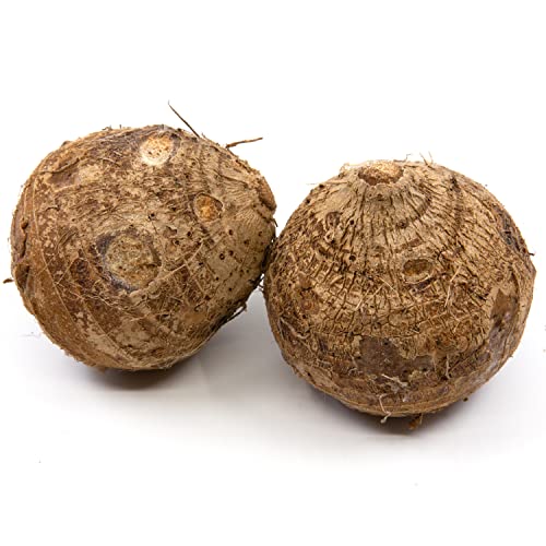 Malanga Isleña (Yautia Isleña) (10.5 lbs) (Shipping Included)