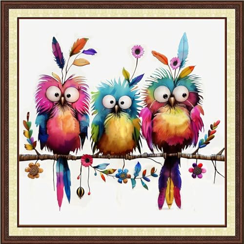 Image of DMCVIVR Stamped Cross Stitch Kits for Beginners Adults Needlepoint Kits for Beginners Embroidery Kits for Adults Crossstitch Kit for Beginners 11CT-Three Colorful Birds 18x18 inch