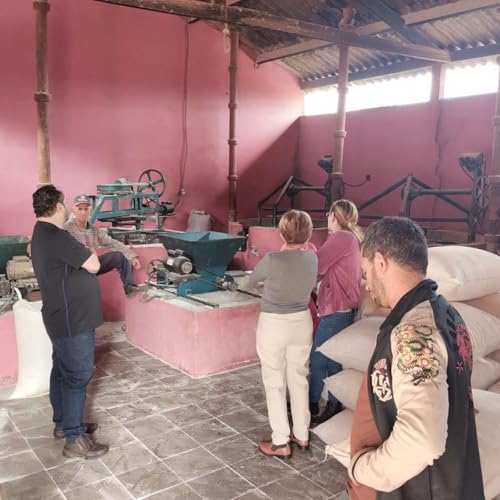 Page de couverture de Codevasf fortalece mandiocultura e amplia apoio a arranjos produtivos em Minas