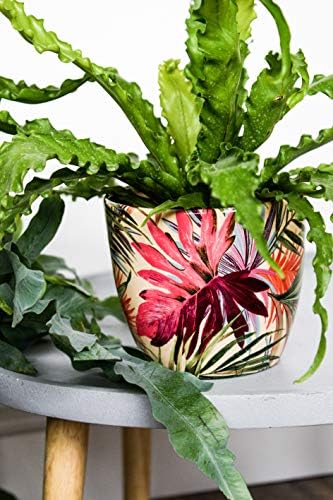 Ivyline Vaso per Piante, Ceramica, Crema/Rosa/Verde, 16 cm