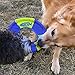 Nerf Dog Trackshot Toss and Tug Ring Outdoor Dog Toy 2 Pack, 9 Inch Dog Tug and Fetch Toy, for Medium and Large Breeds, Blue/Orange/Green