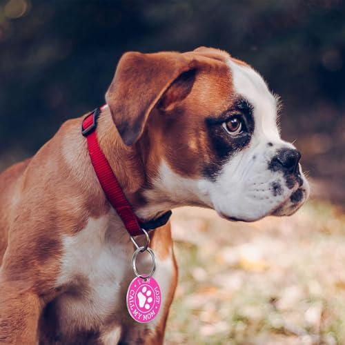 30 Stück Blanko-Hundemarken, personalisierbar, Namensschilder für Haustier-Katzen, Edelstahl-ID-Haustier-Halsbandanhänger, Metall-Schlüsselrohlinge, Schlüsselbeschriftungsanhänger für DIY-Set-Anhänger