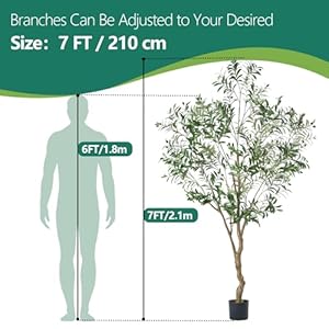 7FT Olive Tree Artificial Plant Decor - Tall Fake Tree for Home Decor Faux Plant Indoor 2000 Leaves Artificial Olive Tree for Living Room Bedroom Office Live Streams Decorative Modern Greenery 7FT Olive Tree Artificial Plant Decor Tall Fake Tree for Home Decor Faux Plant Indoor 2000 Leaves Artificial Olive Tree for Living Room Bedroom Office Live Streams Decorative Modern Greenery