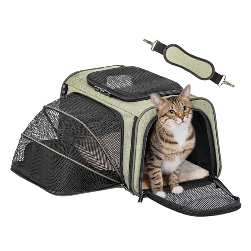 Petsfit - Trasportino Espandibile per Animali Domestici Approvato dalle Compagnie Aeree, Trasportino Portatile Morbido per Gatti e Cani, con Tappetino di Peluche Rimovibile, Chiusure di Sicurezza a