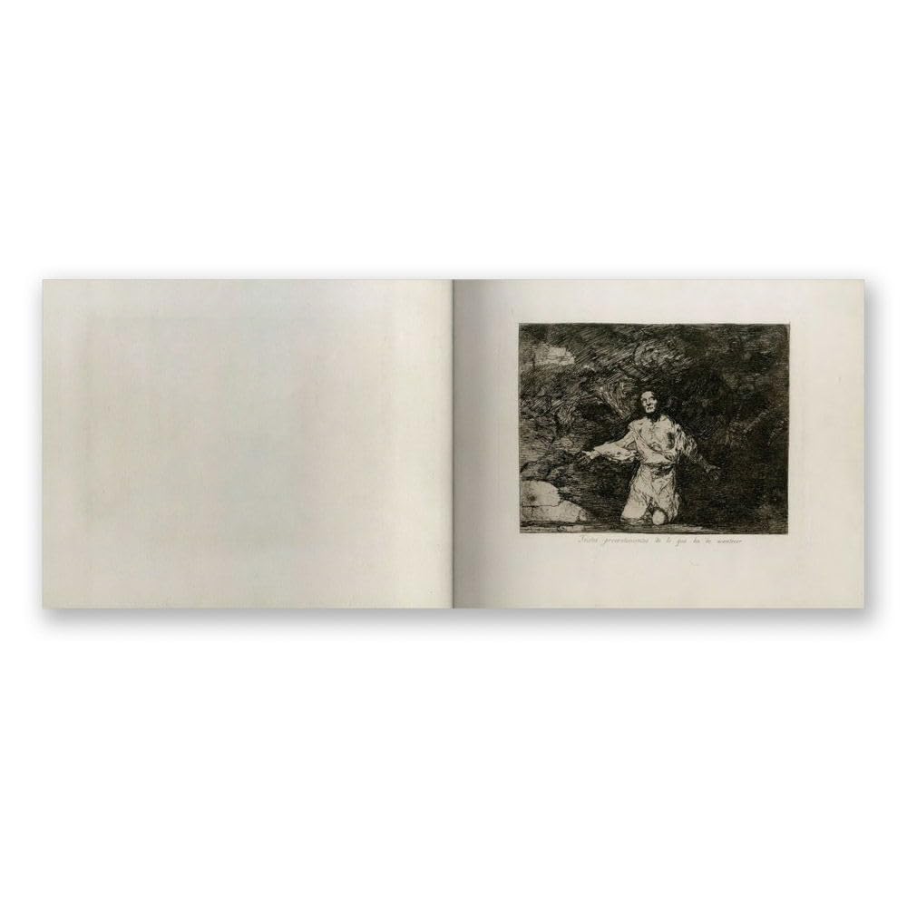 Goya: The Disasters of War /anglais