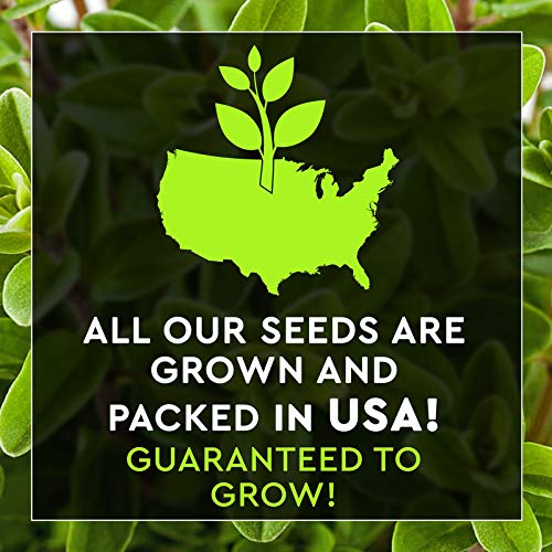 12 Lettuce and Greens Seed Pack - Heirloom and Non GMO, Grown in USA - Indoor or Outdoor Garden - Iceberg, Arugula, Kale, Spinach, Bibb, Butter, Green Oakleaf, Giant Collard, Red Romaine & More - Thumbnail 3