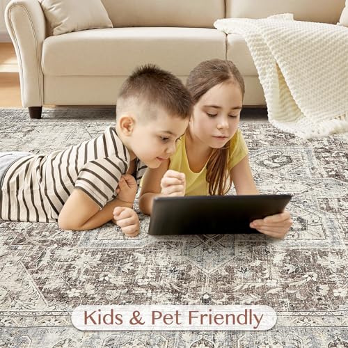 Tortania Area Rug Living Room Rugs - 8x10 Washable Boho Rug Vintage Oriental Distressed Farmhouse Large Thin Indoor Carpet for Living Room Bedroom Under Dining Table Home Office - Brown Blue
