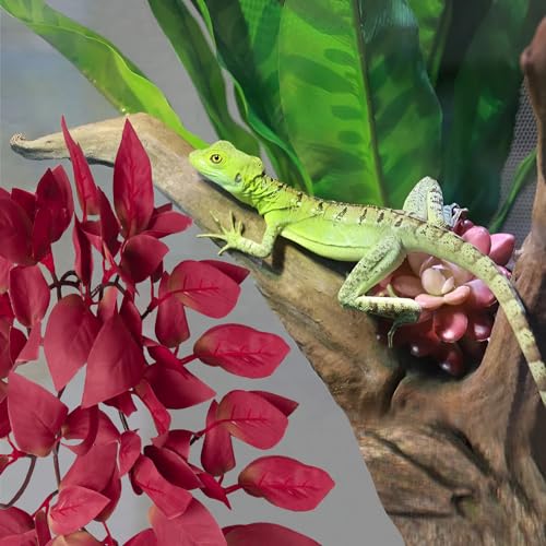 Image of Aquarium Artificial Plant Reptiles Plants with Suction Cup for Terrarium Fish Tank Landscape Decoration Hanging Silk Red Leaves Plants