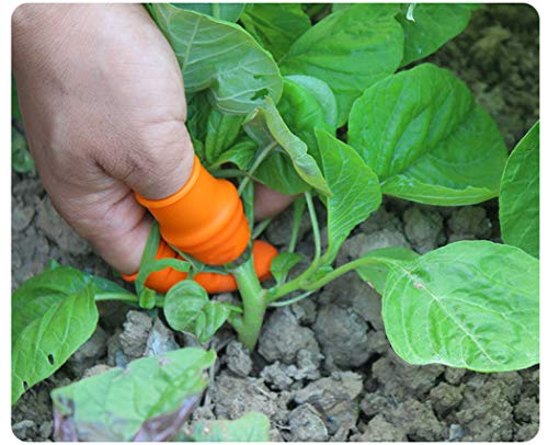 Set de cuchillos de silicona para jardinería (2 unidades) miniatura 3