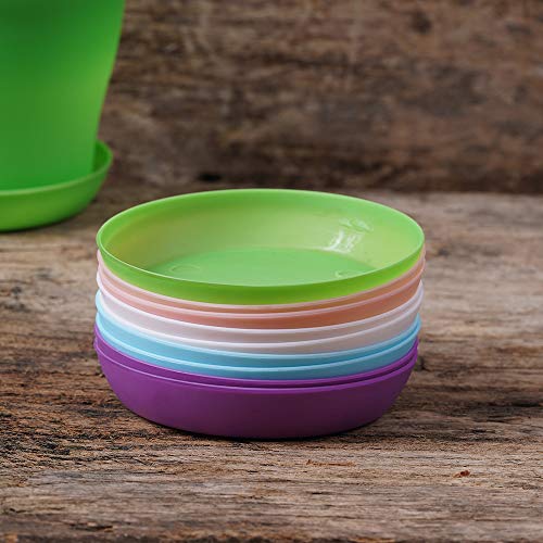 Tdhdike 10 Pcs Plastic Planters Indoor Pots, Mini Flower Seedlings Nursery Flower Pot With Pallet, Modern Decorative Gardening Containers #TOP2