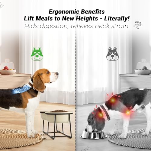 Ceramicelevateddogbowlsetdoubledogbowlswithnonslipmetalstandraiseddogfoodandwaterbowlsetdogfeedingbowlsidealforsmallandmediumdogs2cups27flozbeige Urban Country Home Decor Ceramic elevated dog bowl set double dog bowls with non slip metal stand raised dog food and water bowl set dog feeding bowls ideal for small and medium dogs 2 cups 27 fl oz beige urban country home decor