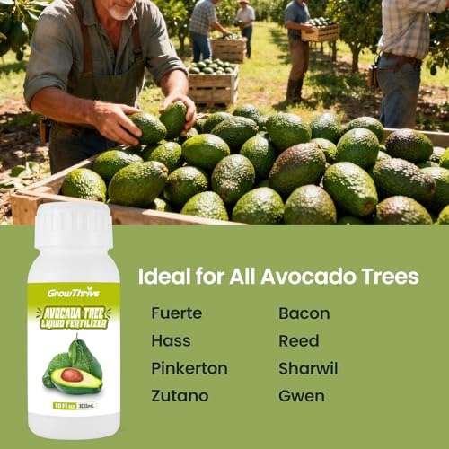 Fertilizante Líquido Orgánico para Árbol de Aguacate 300ml miniatura 7