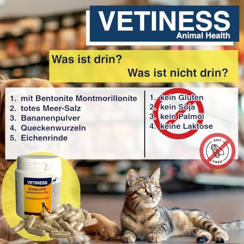 vetiness EnteroFit Durchfallstopp für Hunde und Katzen 100x Kapseln | bei akutem Durchfall | Natürliche Durchfallhilfe | Stärkt Darmflora Hund Durchfall Hund | für empfindliche Tiere