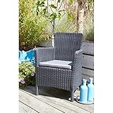 Allibert Dining Sessel Trenton mit Kissen, graphit/cool grey - 2