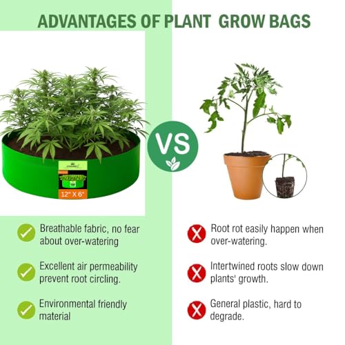 Image of Kingwell Grow Bag For Terrace Garden Leafy Vegetable Plant Grow Bags Fruits Growing Containers For terrece Gardening (12 X 6 INCH, PACK OF 1)