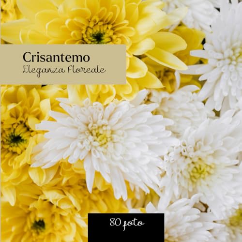 Crisantemo : Eleganza Floreale: Libro fotografico sul crisantemo ...