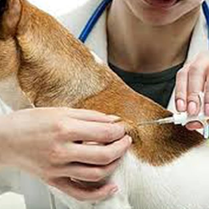 TAEING Pet Mikrochips, 134,2 kHz Mikrochip für Haustiere, Mikrochip Kit für Hunde und Katzen für Haustiere für die tierärztliche Verwaltung (1.25x7mm, stück, 5)