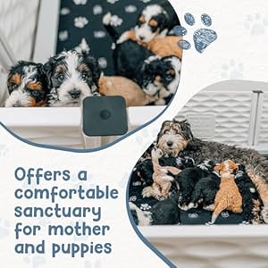 EZwhelp EZclassic 48"x48"x18" Large Padded Dog Whelping Box with Rails, Puppy Whelping Supplies, Gray Pad EZwhelp EZclassic 48x48x18 Large Padded Dog Whelping Box with Rails Puppy Whelping Supplies Gray Pad