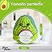 LOS BUEN ROLLITO® Regalo Original y Divertido Patata Positiva Imagen de LOS BUEN ROLLITO® Regalo Original y Divertido Patata Positiva