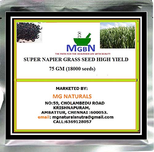 SUPER NAPIER GRASS SEED HIGH YIELD -75GM (18000 SEEDS) (B085S43GL2) Amazon Price History, Amazon Price Tracker