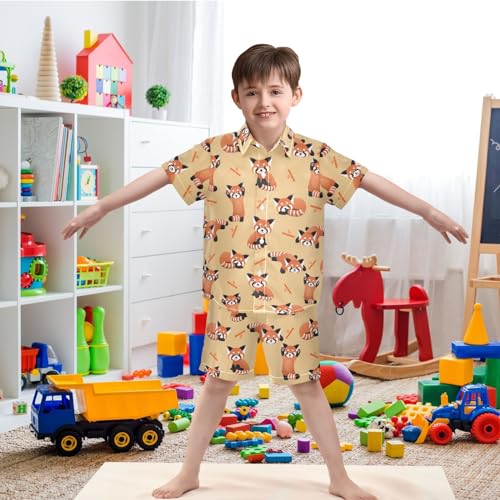 Image of visesunny Funny Boy's 2 Pieces Shirt and Short Set Casual Shirts Short Sleeve Beach Shorts Summer Outfits for 3-10 Years Kids