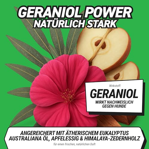 RepellShield® Hundeabwehrspray -250ml - Nicht färbend - Hunde Abwehrspray zur Ausbildung & Erziehung - Bitterspray Hund zur Abschreckung gegen Kauen & Beißen von Möbeln - Hundeschreck