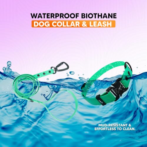 Image of Adil's Biothane Waterproof Dog Collar, Dog Leash & Collar Leash Combo | Heavy Duty TPU Coated Webbing | Adjustable Quick Release Buckle | Odour Resistant (Forest Green, M-18, Collar & Leash Combo)