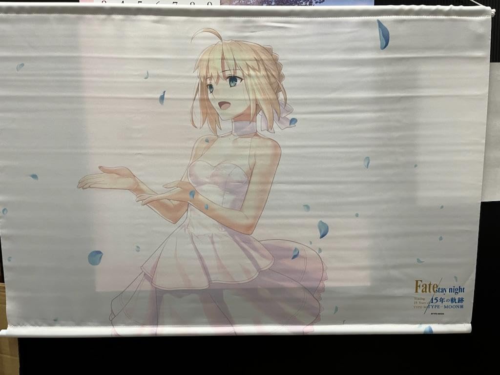 fate展　セイバー　タペストリー Amazon.co.jp: TYPE-MOON展 fate 15th イラスト B2タペストリー