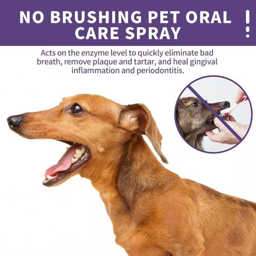 Sofenthiss - Sofenthiss Teeth Cleaning Spray for Dogs & Cats,Teeth Cleaning Spray for Dogs & Cats,No Brushing Pet Oral Care Spray,Pet Breath Freshener Spray (2 pcs) – Bild 4
