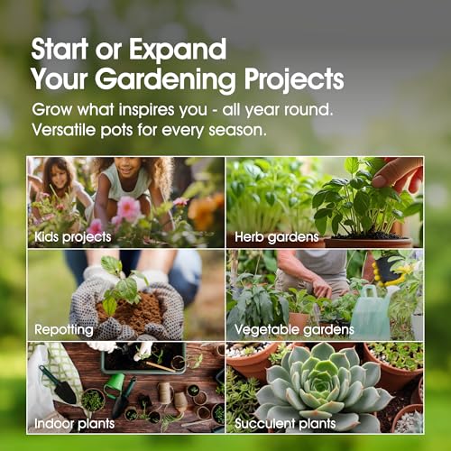 Whitefurze G04026 31cm Garden Pot - Terracotta - Image 5