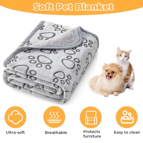 3er-Pack Hundedecken 52x76cm, Haustierdecke für Kleine Mittlere Hunde Katzen, Grau Fleecedecke für Hunde, Weich und Langlebig, Katzendecke Dünn, Pet Warm Blanket Set Ideal für Sofas & Betten