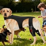 Opdestn Hunde Hüftbandage - Einstellbare Gelenkmanschette - Hunde Hinterbein Orthese mit 4 Metall Stabilisatoren,für Spaziergänge, Wanderungen, Training, Outdoor Aktivitäten, Park, und Reisen