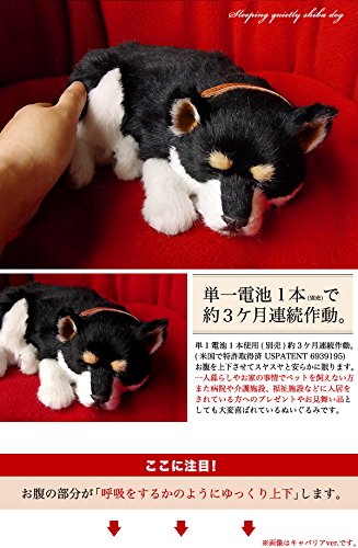 Amazon.co.jp: ニニアンドキノ パーフェクトペット (小サイズ