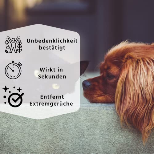 LINOZZ Geruchsneutralisierer gegen Tiergerüche 500 ml. Geruchsentferner für Katzenurin, Hühnerstall, Hundebett… – Bild 3