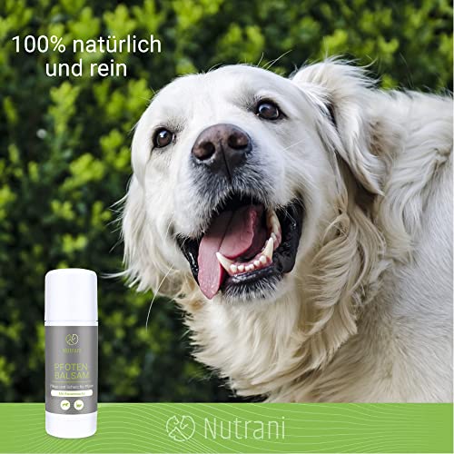 Nutrani Bienenwachs Pfotenbalsam für Hunde & Katzen von ManuCo | Pfotenschutz, 100% natürlich, Pfotenpflege, Pfotenbutter, Wundschutz, Pfotenheilmittel - 40 ml