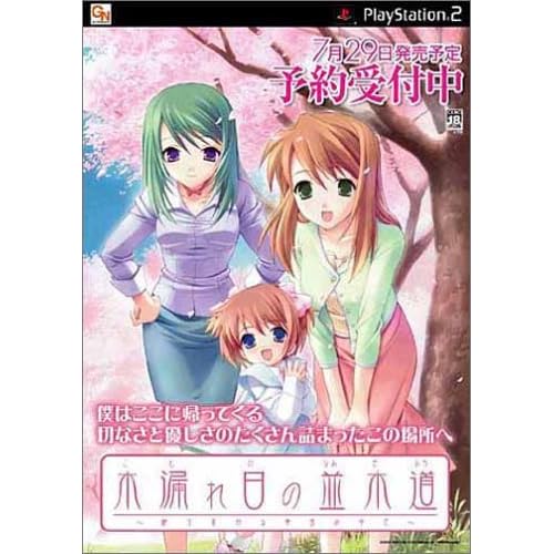 木漏れ日の並木道 ～移り変わる季節の中で～ 限定版
